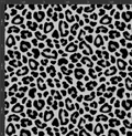 Printed HTV  - LEOPARD