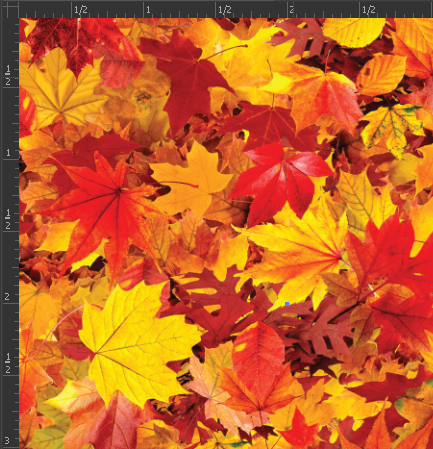 Printed HTV - NATURE
