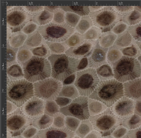 Printed HTV - NATURE